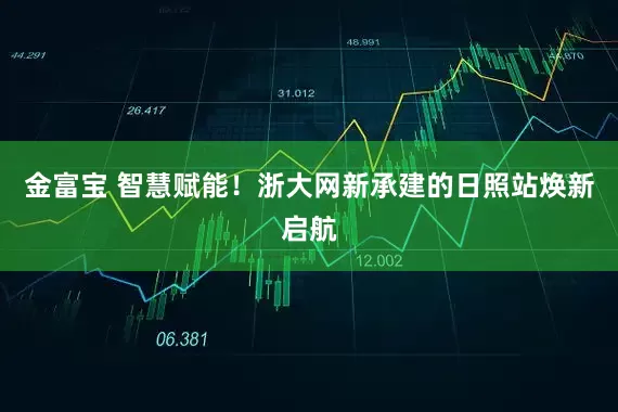 金富宝 智慧赋能！浙大网新承建的日照站焕新启航