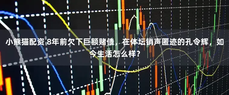 小熊猫配资 8年前欠下巨额赌债，在体坛销声匿迹的孔令辉，如今生活怎么样？